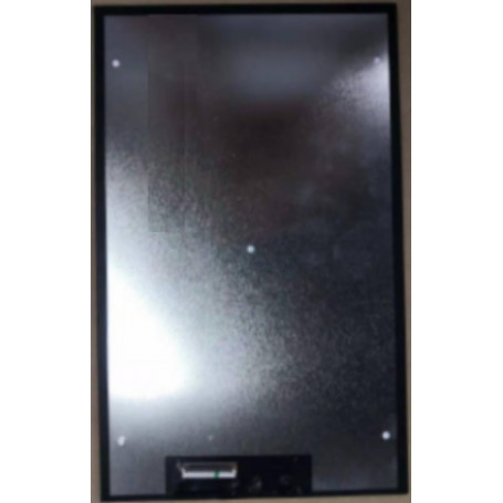 Дисплей Prestigio Grace 4891 4G PMT4891 40Пин