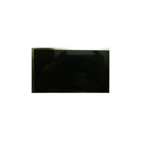 9.6" Дисплей WY096ML119B028D